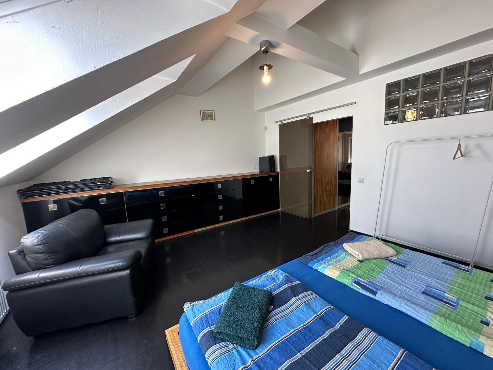 Spacious Karlin Lofty Apartment
