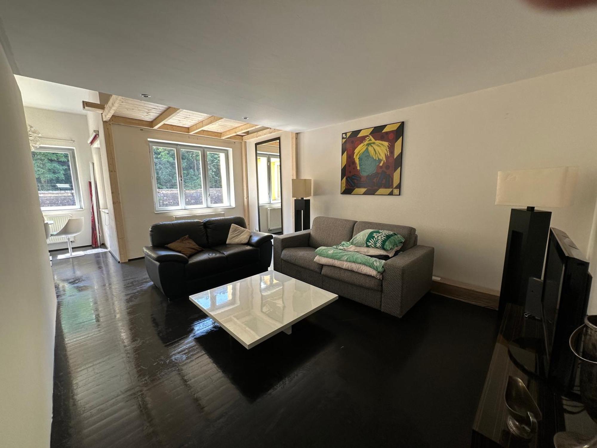 Apartment Spacious Karlin Lofty Prag